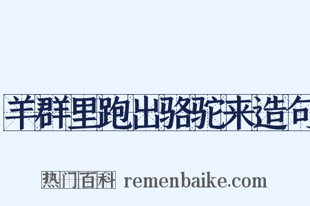 羊群里跑出骆驼来造句是什么意思的图片
